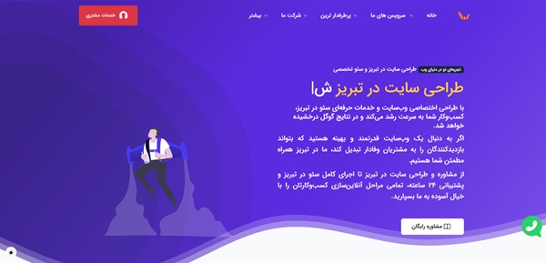  شرکت طراحی سایت DeveloperWeb